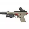SET RIS AAP-01 FRONTAL E TRASEIRA